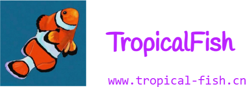 TropicalFish - 信息技术分享平台