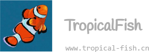 TropicalFish - 信息技术分享平台
